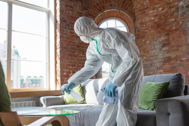 Springtown, TX Mold Removal Company